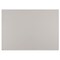 Blick Premium Construction Paper - 19-1/2" x 27-1/2", Pearl Gray, Single Sheet